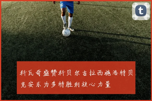科瓦奇盛赞科贝尔吉拉西施洛特贝克安东为多特胜利核心力量