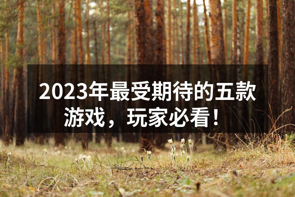 2023年最受期待的五款游戏，玩家必看！